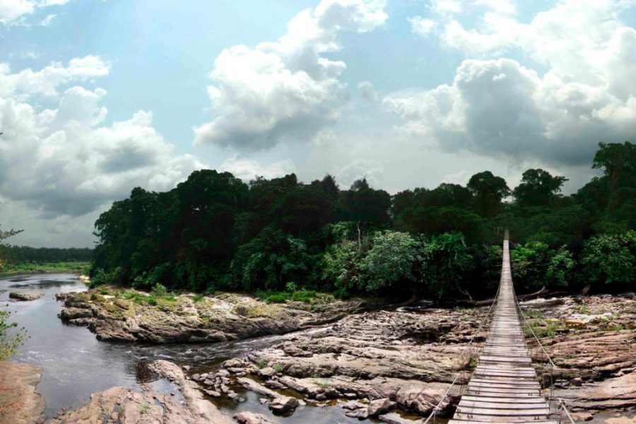 Korup National Park, Cameroon