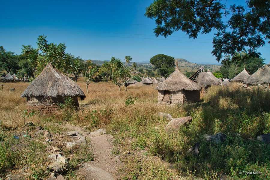 A la découverte de toute la zone NORD du Cameroun